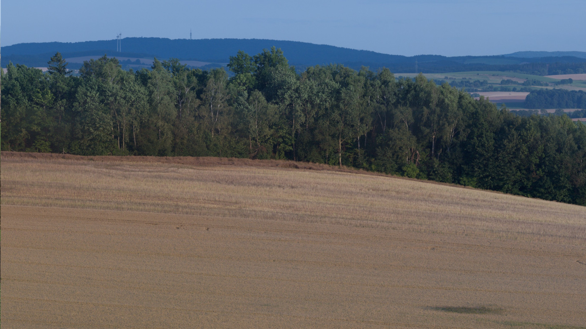 Blick vom Steinberg bei Hauswalde